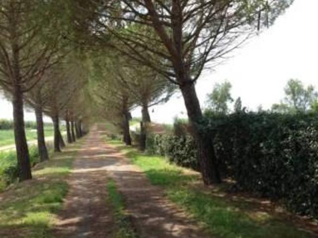 Rustico in vendita a Barbanella, Monte Argentario