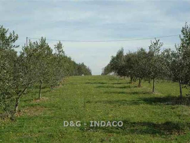 Rustico in vendita a Grosseto