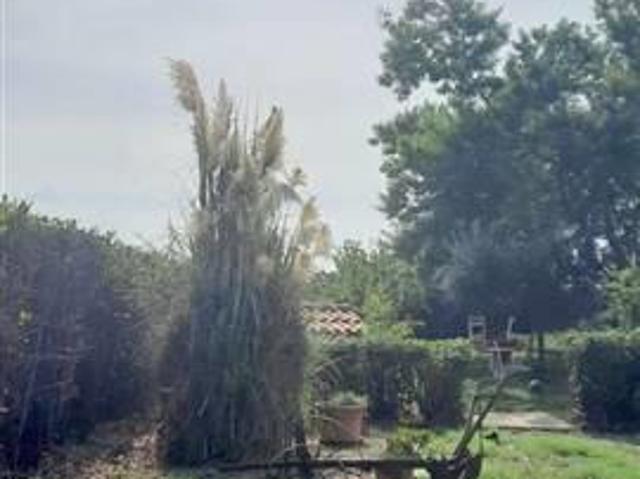 Rustico in vendita a Monte Argentario, Toscana