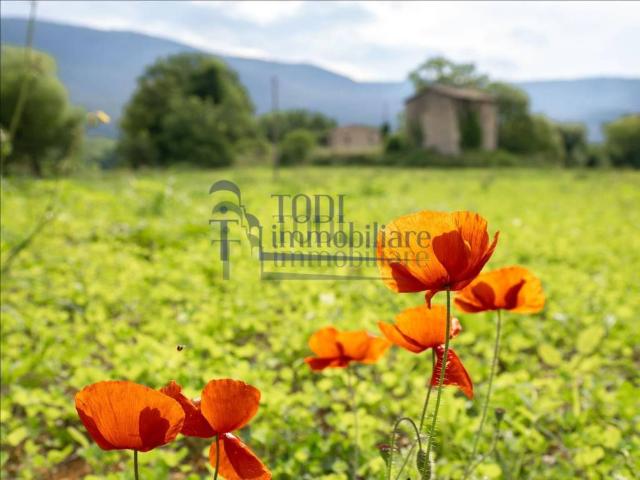 Rustico in vendita a Colpetrazzo, Umbria
