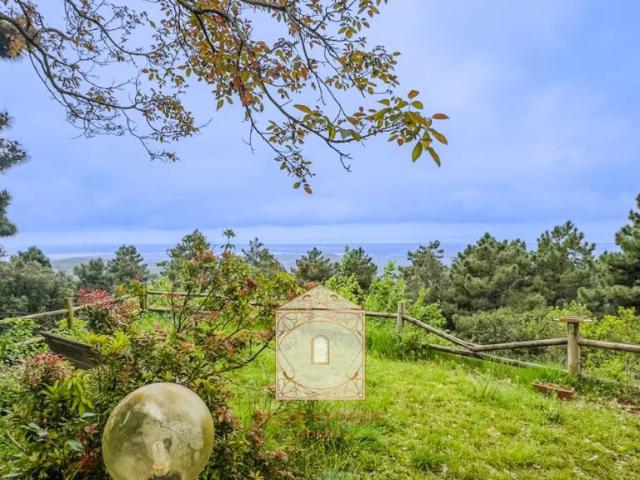 Rustico in vendita a Massarosa, Toscana