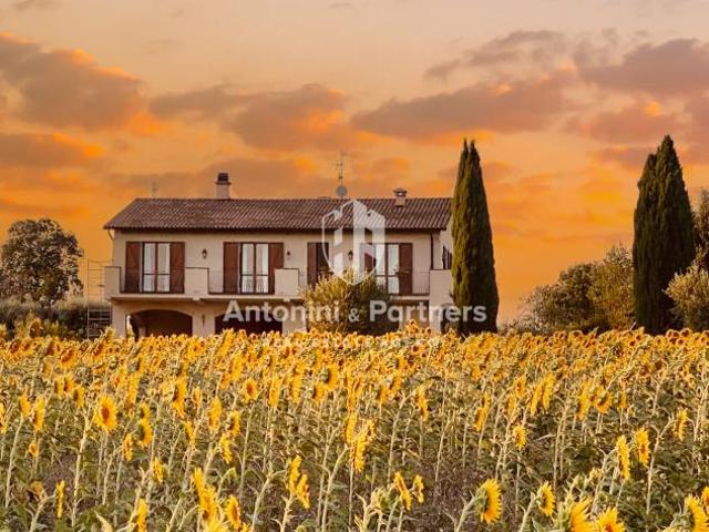 Terreno in vendita a Montecastrilli, Umbria