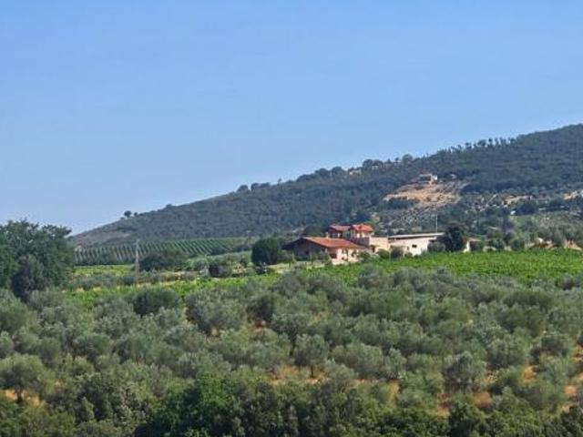 Terreno in vendita a Montecchio, Umbria