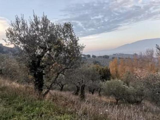Rustico in vendita a Montefalco, Umbria