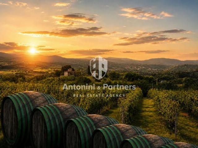 Terreno in vendita a Montefalco, Umbria