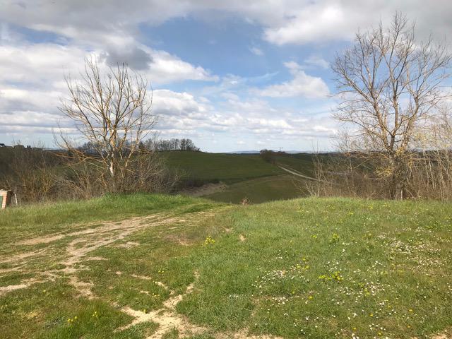 Rustico in vendita a Monteroni D'arbia, Toscana