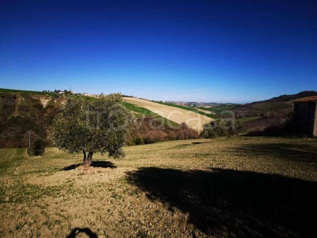 Rustico in vendita a Monterubbiano, Fermo