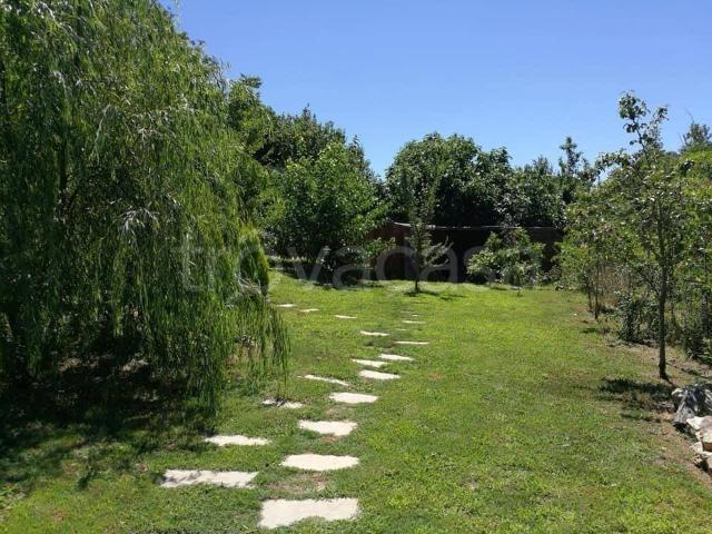Rustico in vendita a Monticiano, Siena