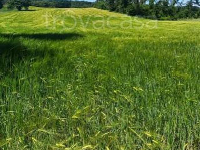 Rustico in vendita a Lubriano, Lazio