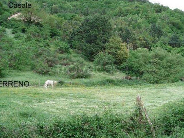 Rustico in vendita a Marche, Pesaro E Urbino