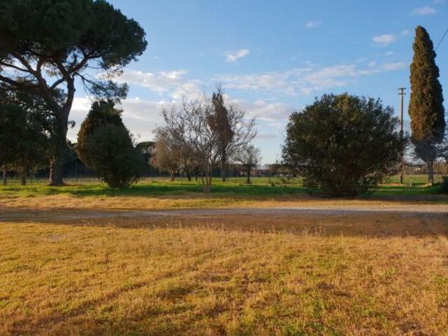 Terreno in vendita a Pisa