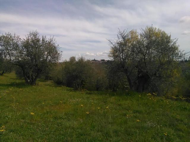 Rustico in vendita a La Scala, San Miniato