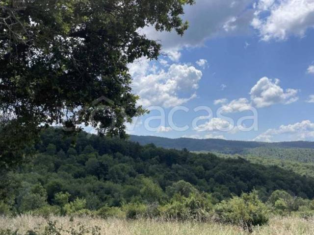Rustico in vendita a San Venanzo, Umbria