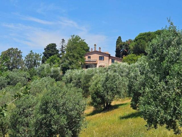 Rustico in vendita a Santa Luce, Toscana