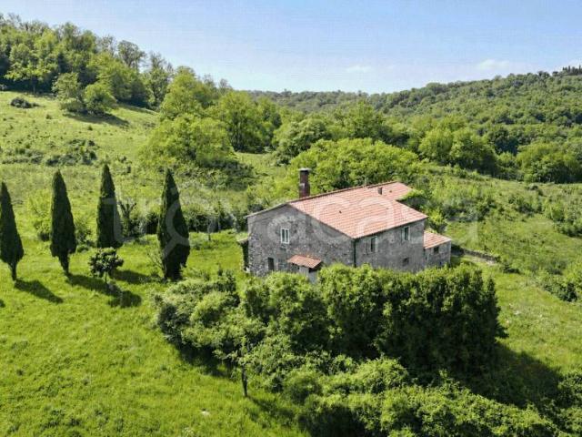 Rustico in vendita a Scansano, Toscana