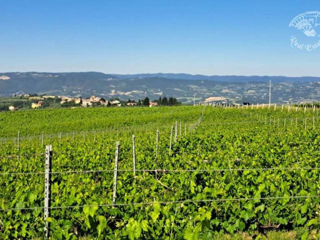 Rustico in vendita a Izzalini, Umbria