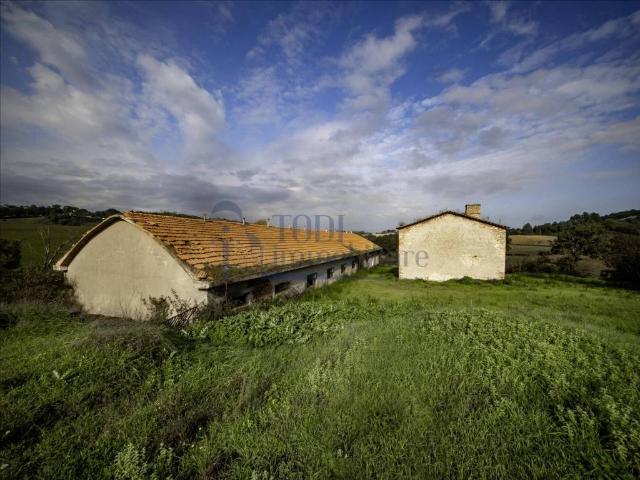 Rustico in vendita a Monte Latrone, Izzalini