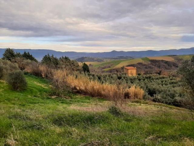 Terreno in vendita a Ponterio-Pian di Porto, Izzalini