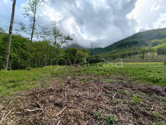 Rustico in vendita a Trecchina, Basilicata