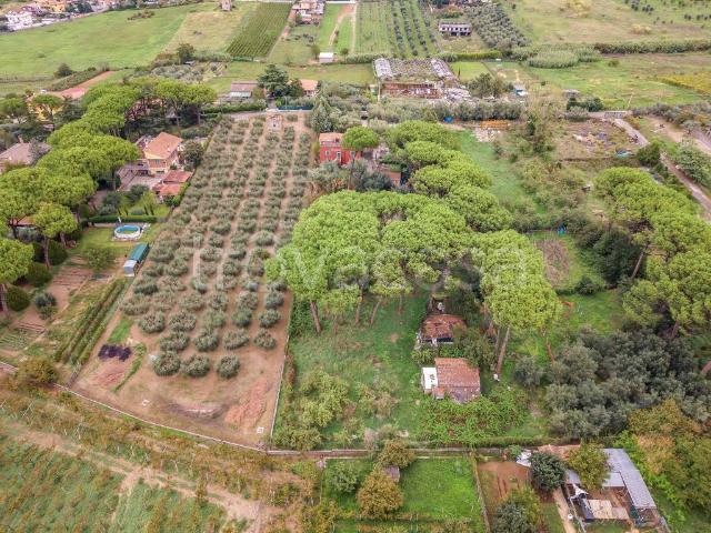 Rustico in vendita a Santi Apostoli, Frascati
