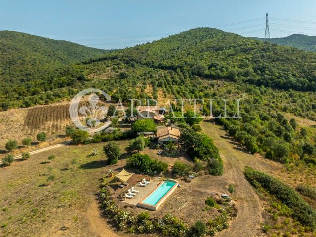 Rustico in vendita a Manciano, Grosseto