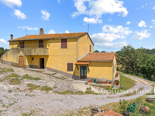 Casa in vendita a Magliano in Toscana, Grosseto