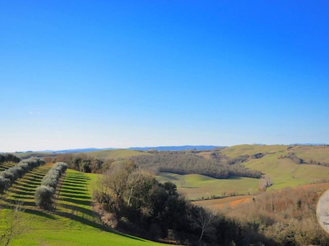 Casa in vendita a Asciano