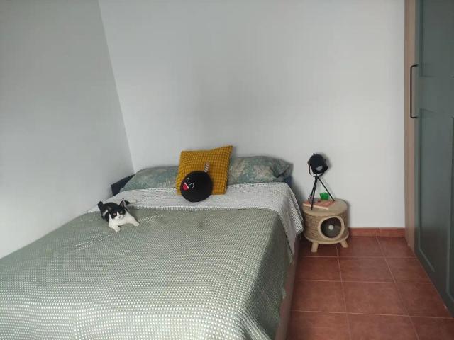 Apartamento en alquiler en Sierra de las Nieves, Andalucía