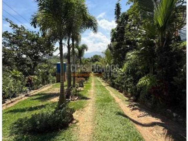 Casas, Alquiler, Floridablanca