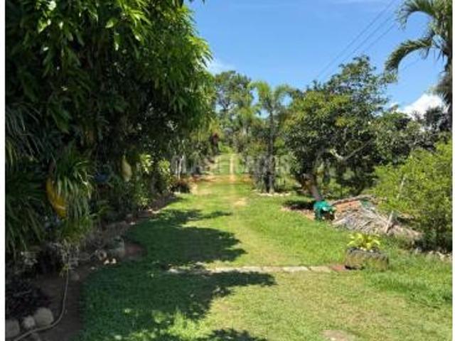 Casas, Alquiler, Floridablanca