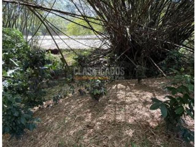 Casas, Alquiler, Floridablanca