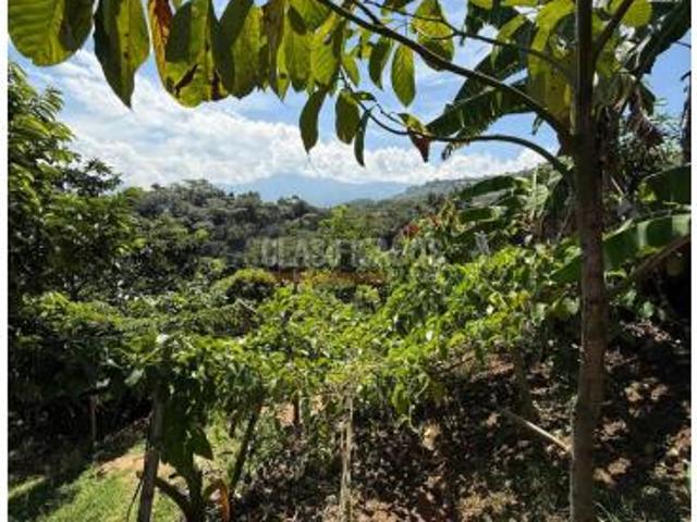 Casas, Alquiler, Floridablanca