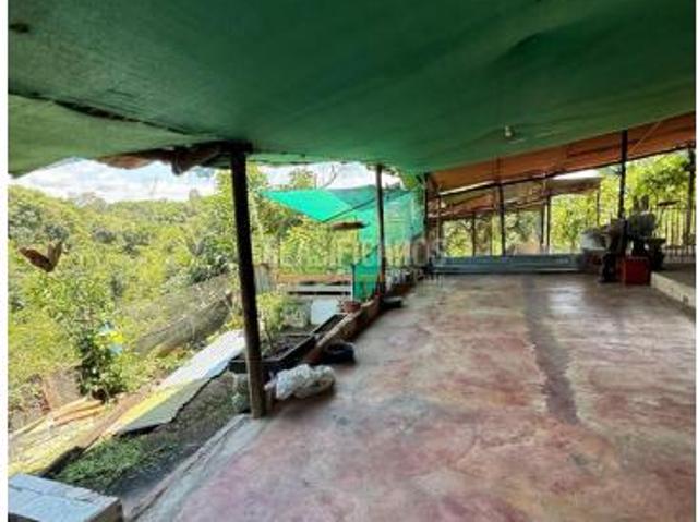 Casas, Alquiler, Floridablanca
