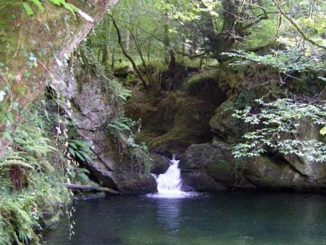Casa en alquiler en Piloña, Asturias