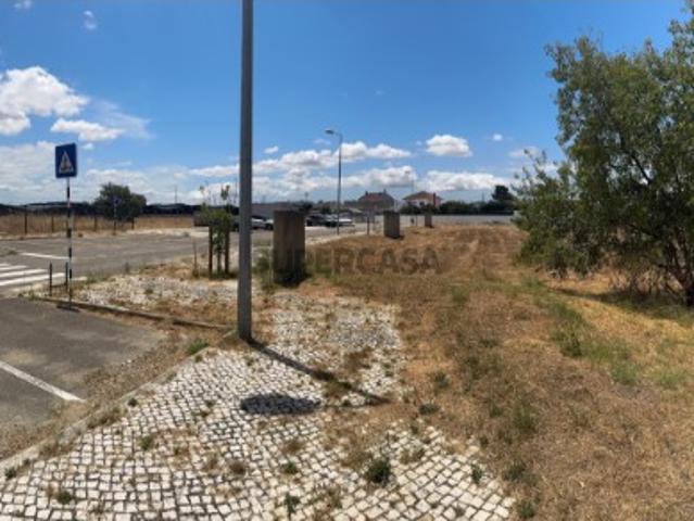 Terreno venda em Broega, Montijo