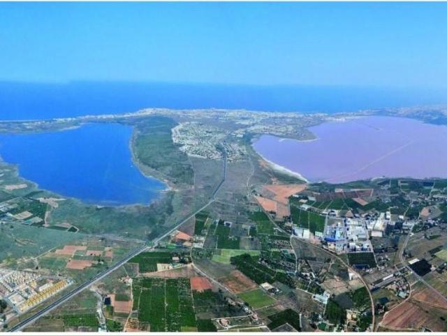 Casa en venta en el Baix Segura / La Vega Baja, Valencia