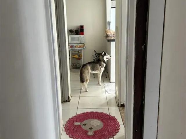 Casa venda em Região Imediata de Botucatu, Botucatu