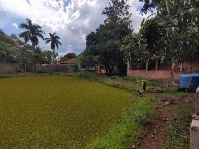 Casa venda em Região Imediata de Ribeirão Preto, Região Metropolitana de Ribeirão Preto