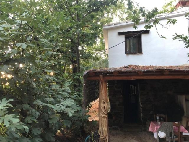 Casa Rural en venta en Serranía de Ronda, Andalucía