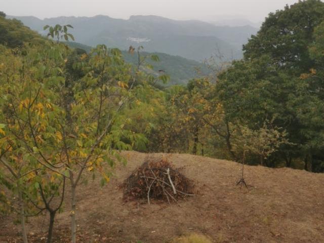 Casa Rural en venta en Serranía de Ronda, Andalucía