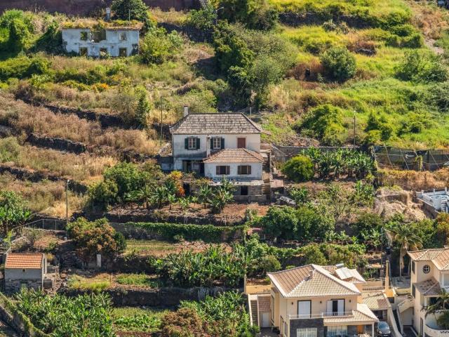 Vivenda venda em Santa Cruz