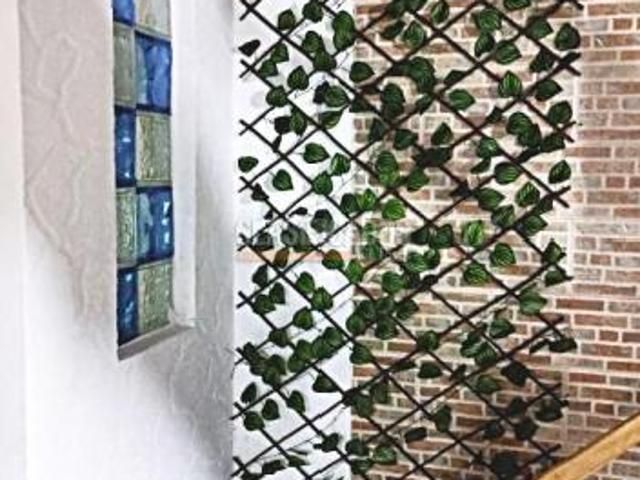 Casas, Venta, Palmira