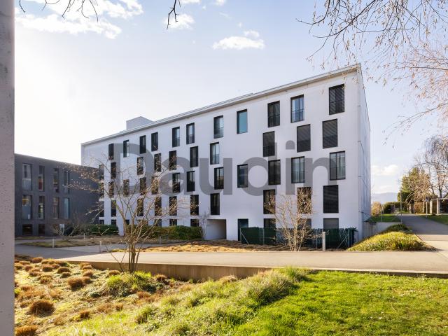 Wohnung kaufen in Meyrin
