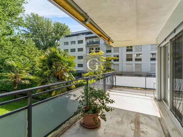 Wohnung kaufen in Thônex