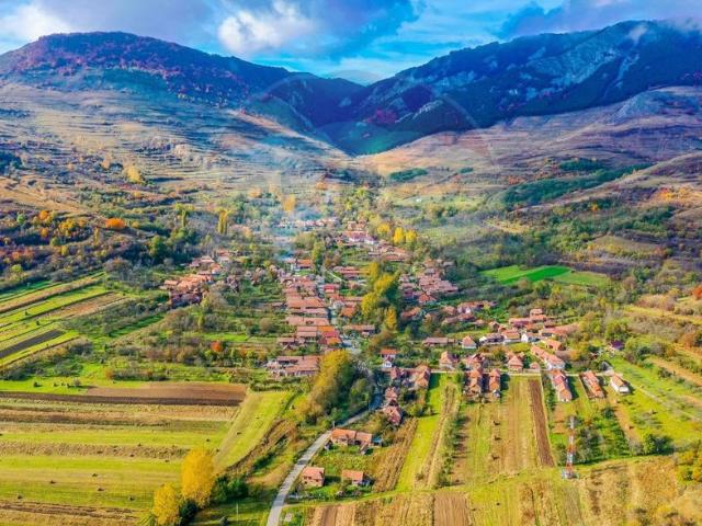 Casă vânzări în Alba