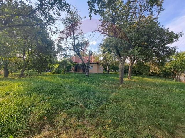 Casă vânzări în Marginea, Bacău