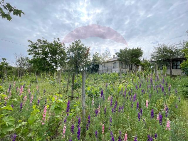 Casă vânzări în Oancea, Galați