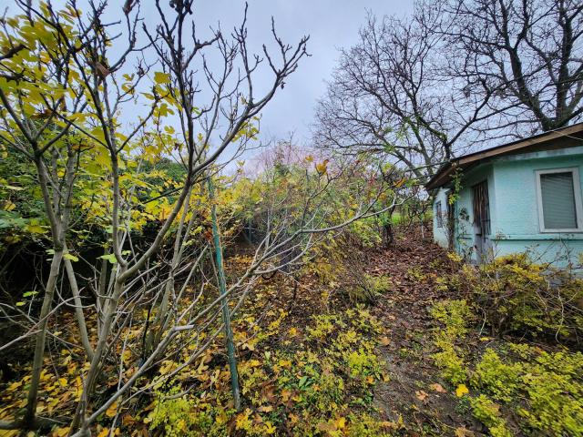 Casă vânzări în Baneasa, Giurgiu