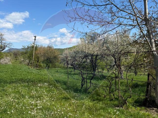 Casă vânzări în Berinta, Maramureș