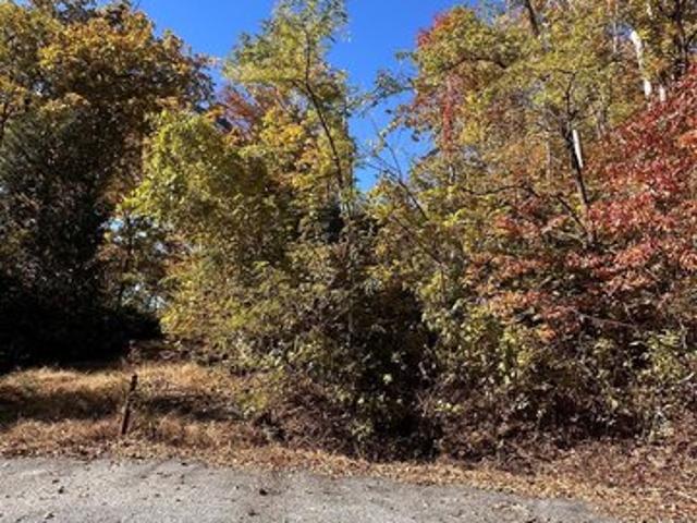 Land for sale in Rutherford, North Carolina